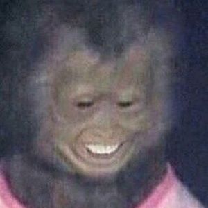 Meet your Posher, Sammie